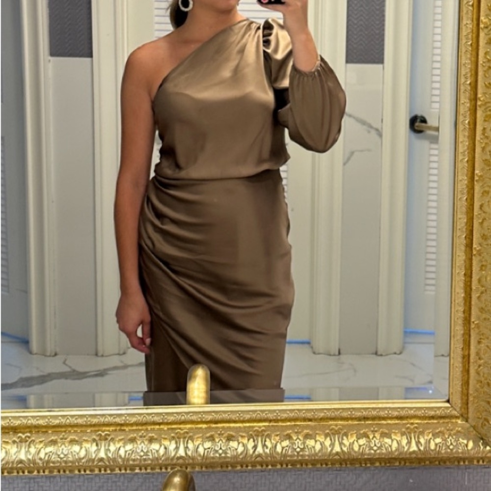 Renee C. One-Shoulder Brown Dress